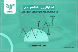 استراتيجية الهيدج