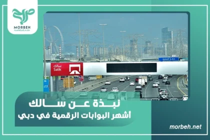 نبذة عن سالك، أشهر البوابات الرقمية في دبي