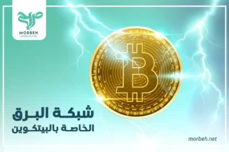 شبكة البرق Lightning Network وكيف تعمل؟!